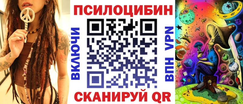 Псилоцибиновые грибы Psilocybine cubensis  где купить наркотик  Щёлкино 