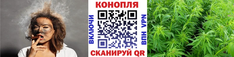 цена   Щёлкино  Бошки марихуана VHQ 